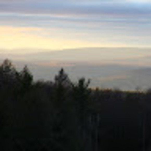 Meet your Posher, Kyle - Picture 1 of 1